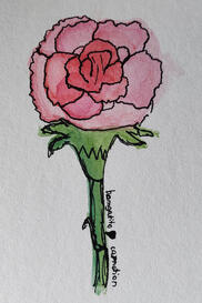 Outlined watercolor painting of a carnation flower.